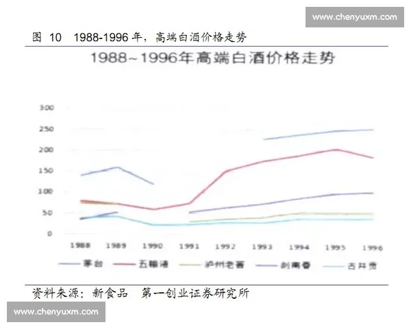 柏迪逊与全球市场竞争力的深度解析及未来发展趋势展望